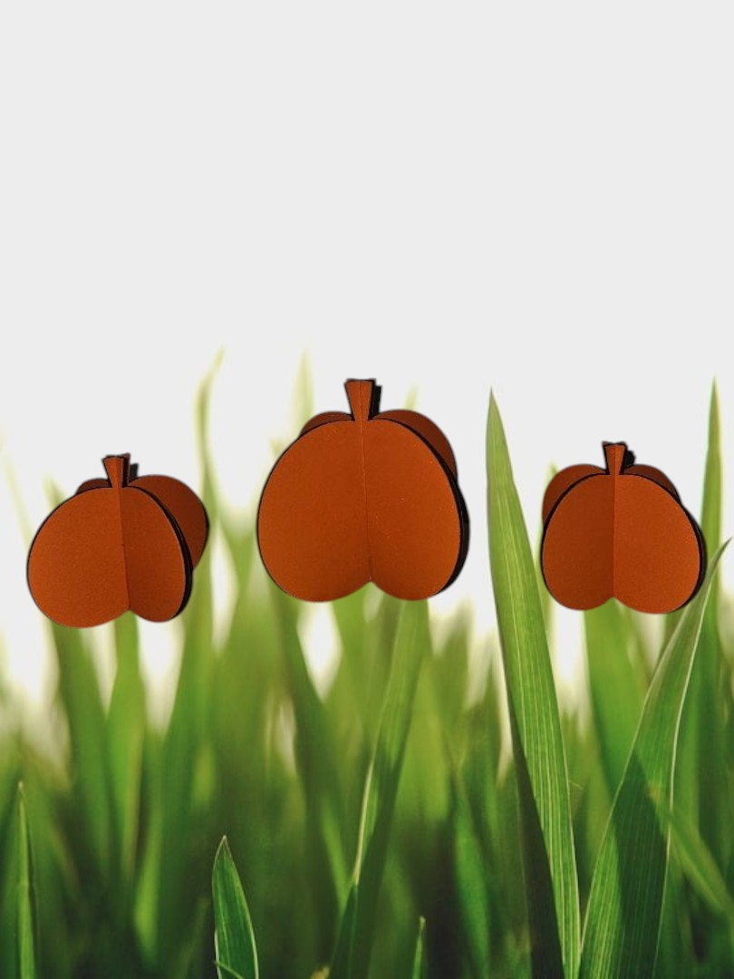 3 pumpkins hand painted and cut